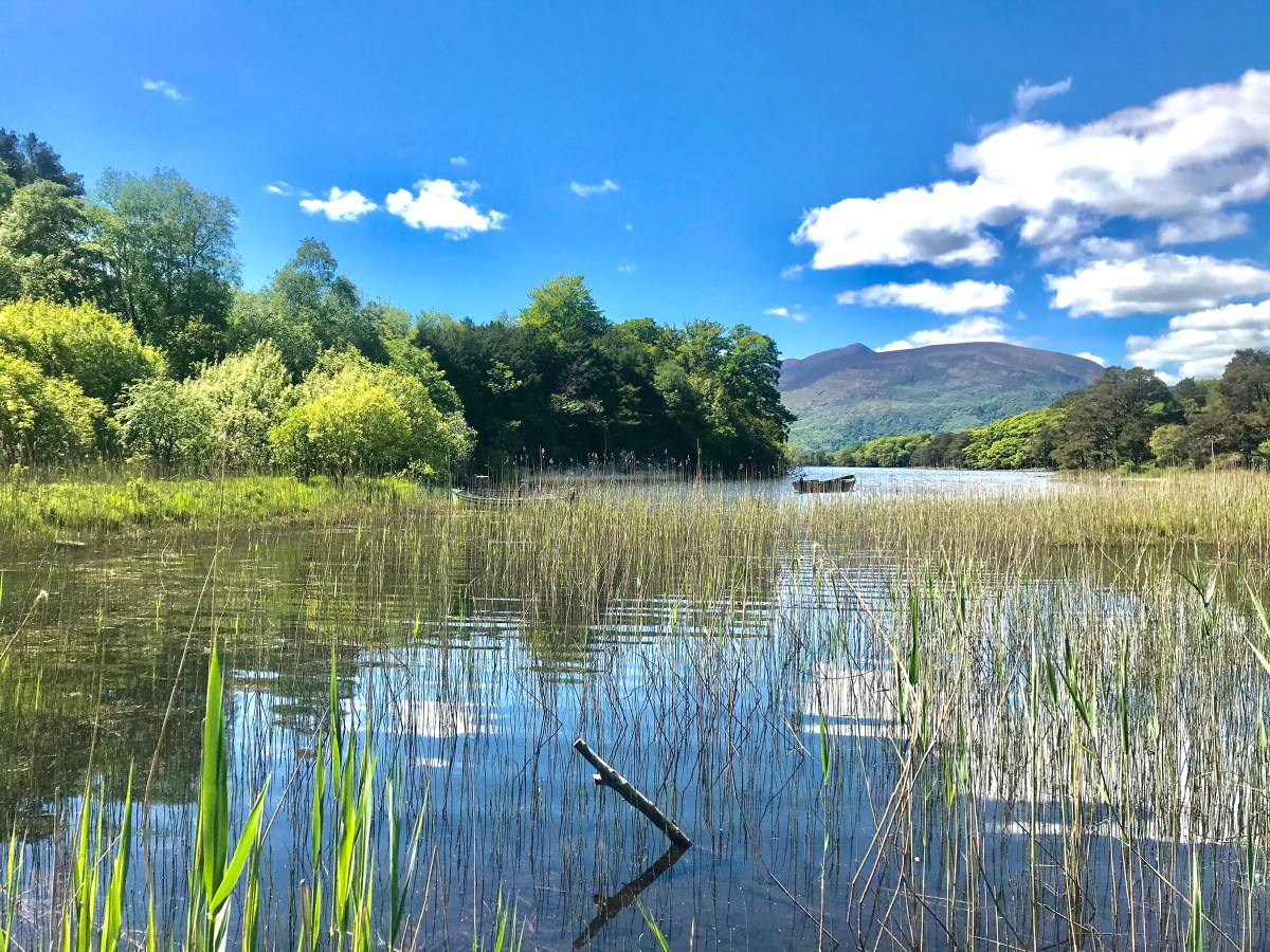 Preserving the Ecological Jewel of Killarney: Embracing&nbsp;Sustainability